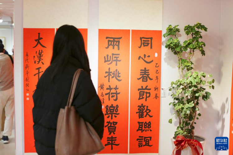 1月18日，参观者在台北“江山如此多娇”艺术馆观看展出的春联。新华社记者 陈君 摄
